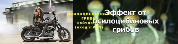 экстази Михайловск
