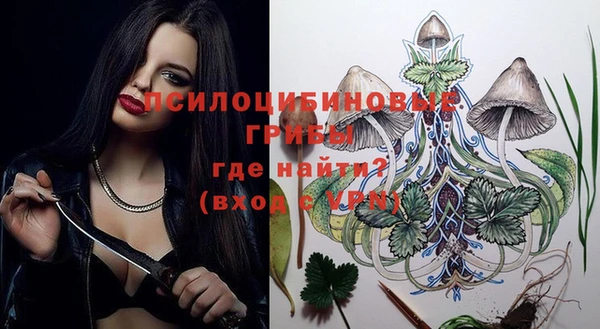 СК Михайлов
