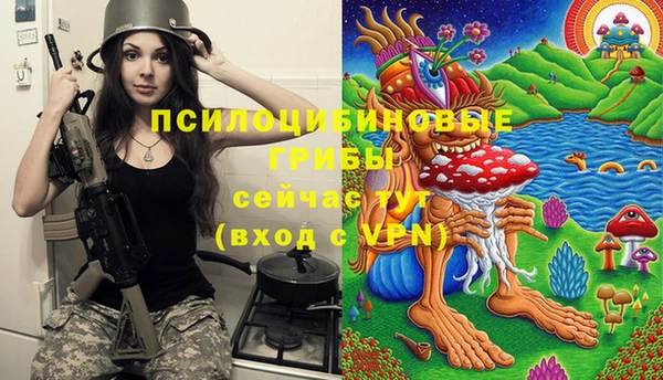apvp Навашино