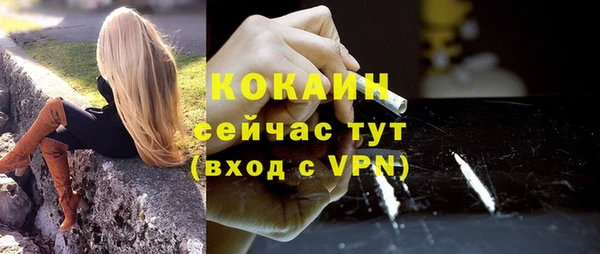 твердый Михайловка